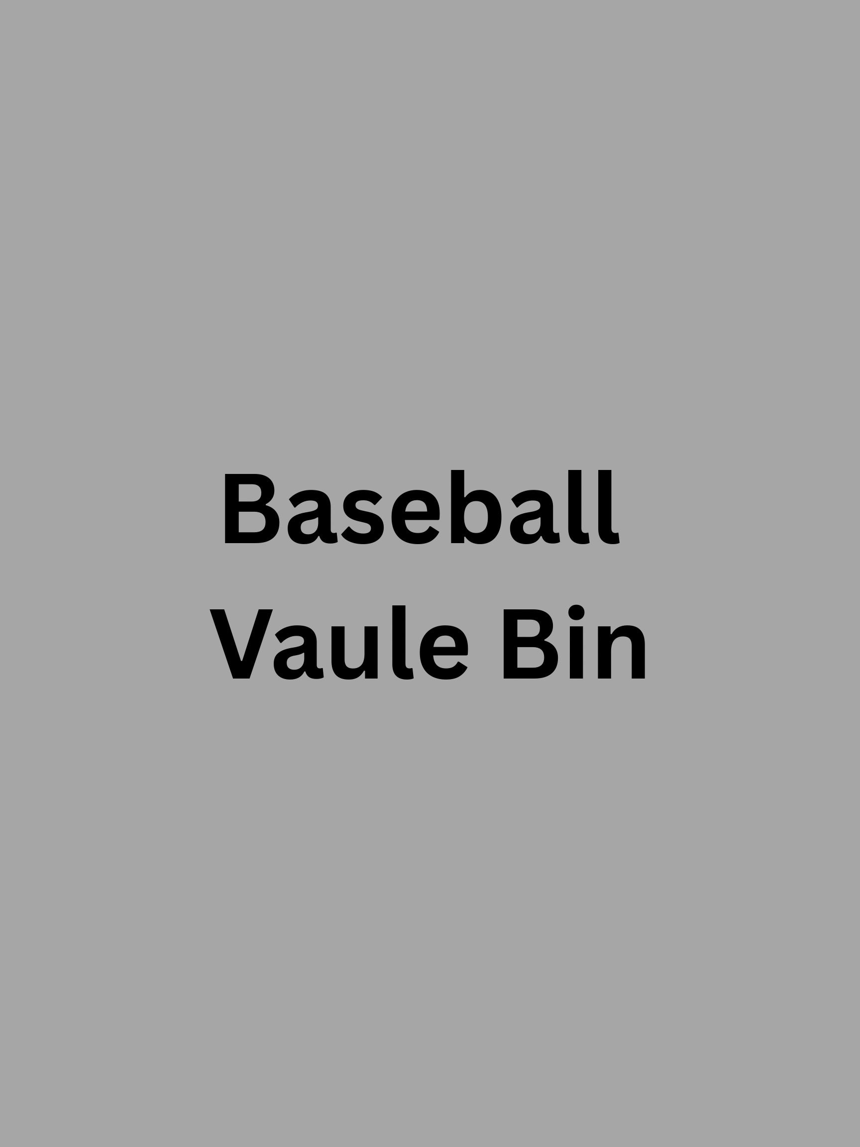 Baseball Bin